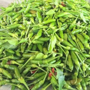 Fresh ‘Ti piment Rodrigues’